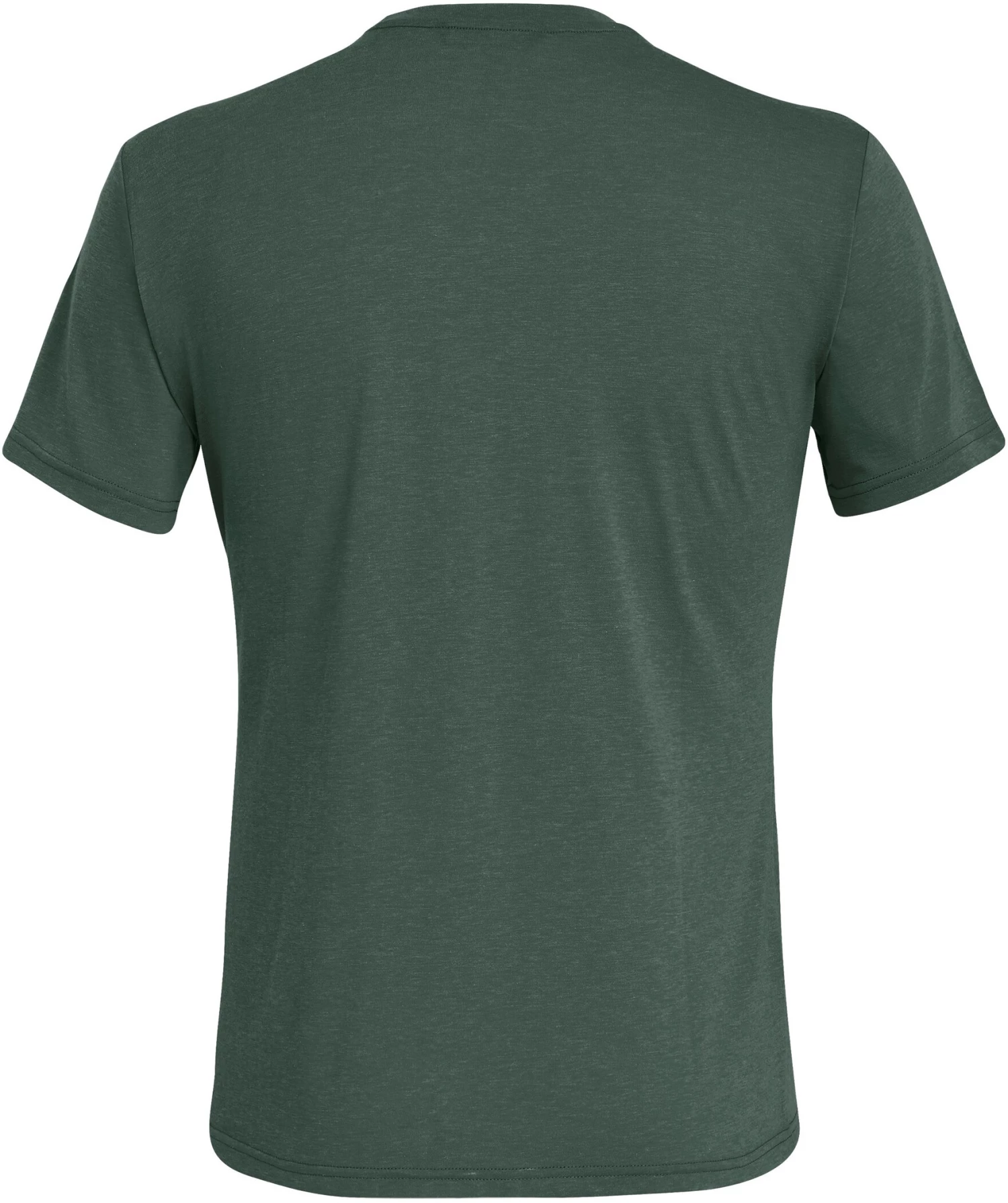 SALEWA Solidlogo Dry T-Shirt À Manches Courtes Homme, vert 4 SALEWA Solidlogo Dry T-Shirt À Manches Courtes Homme, vert – Image 2