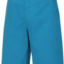 Wild Country Session Short Homme, bleu